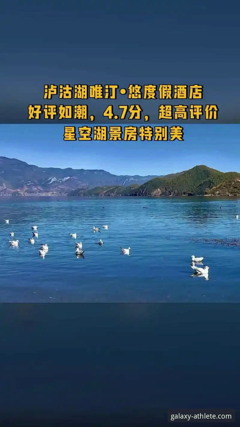 新手必看！星空体育直播平台哪个好？我的真实使用心得与详细测评
